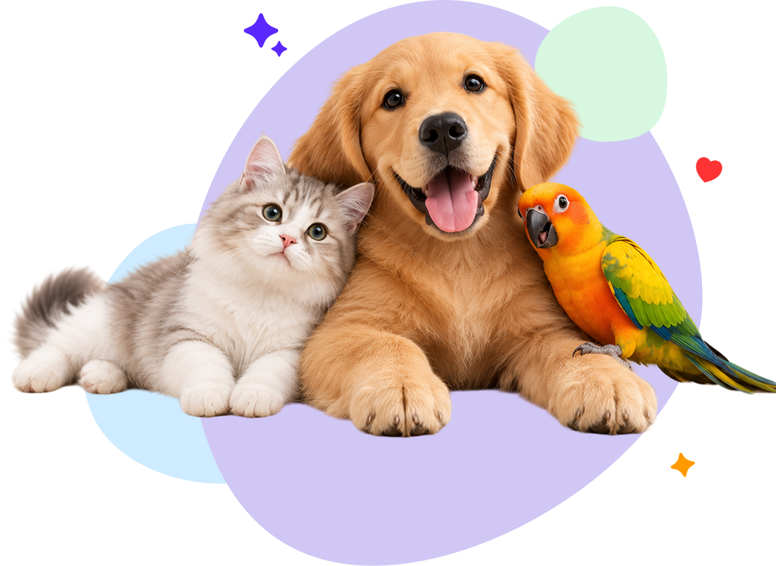 Cat, golden retriever puppy and parrot together