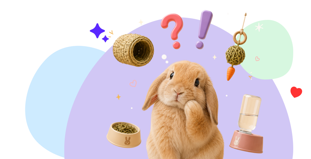 Frequently Asked Questions