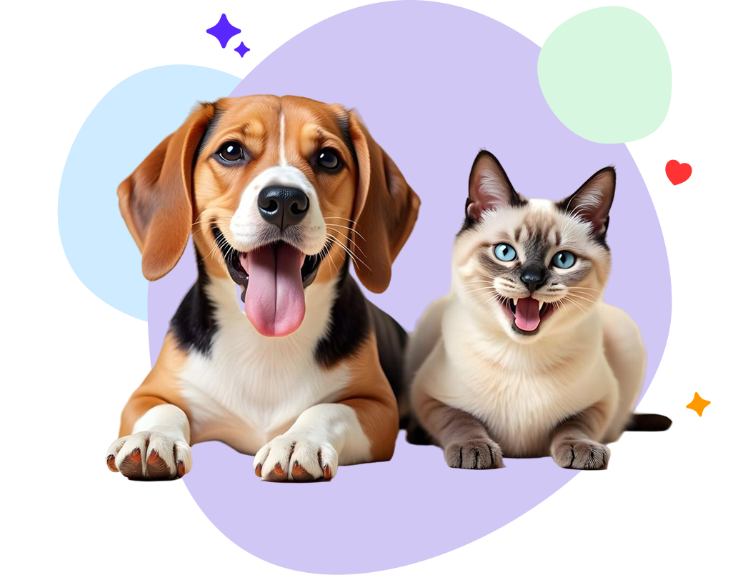 Beagle puppy and Siamese cat sitting together
